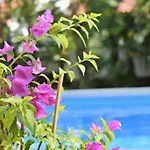 شقة In Balcony, Air Conditioning, Wlan 819-5 *