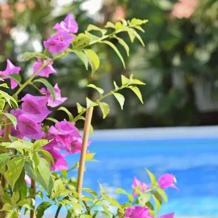 Apartman In Balcony, Air Conditioning, Wlan 819-5 *