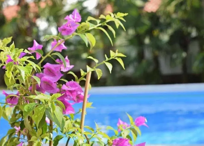 Lejlighed In Balcony, Air Conditioning, Wlan 819-5 *